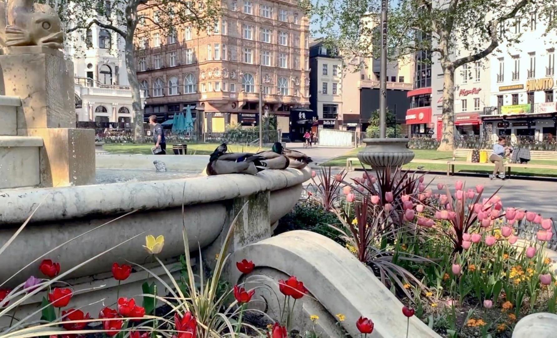 Fantastic 1 Bedroom Flat Leicester Square West End London Eksteriør bilde